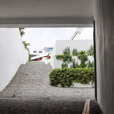 Ponta Delgada Sao Miguel Charming House By Lfc Apts מראה חיצוני תמונה